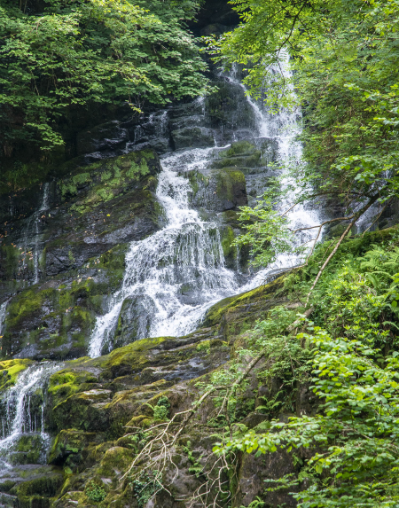 CAR3456 Torc Waterfall in Killarney National Park